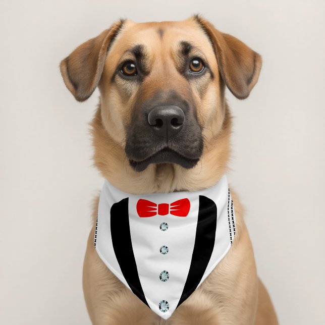 Black tuxedo Red Bowtie Pet Bandana Collar (Dog 2)