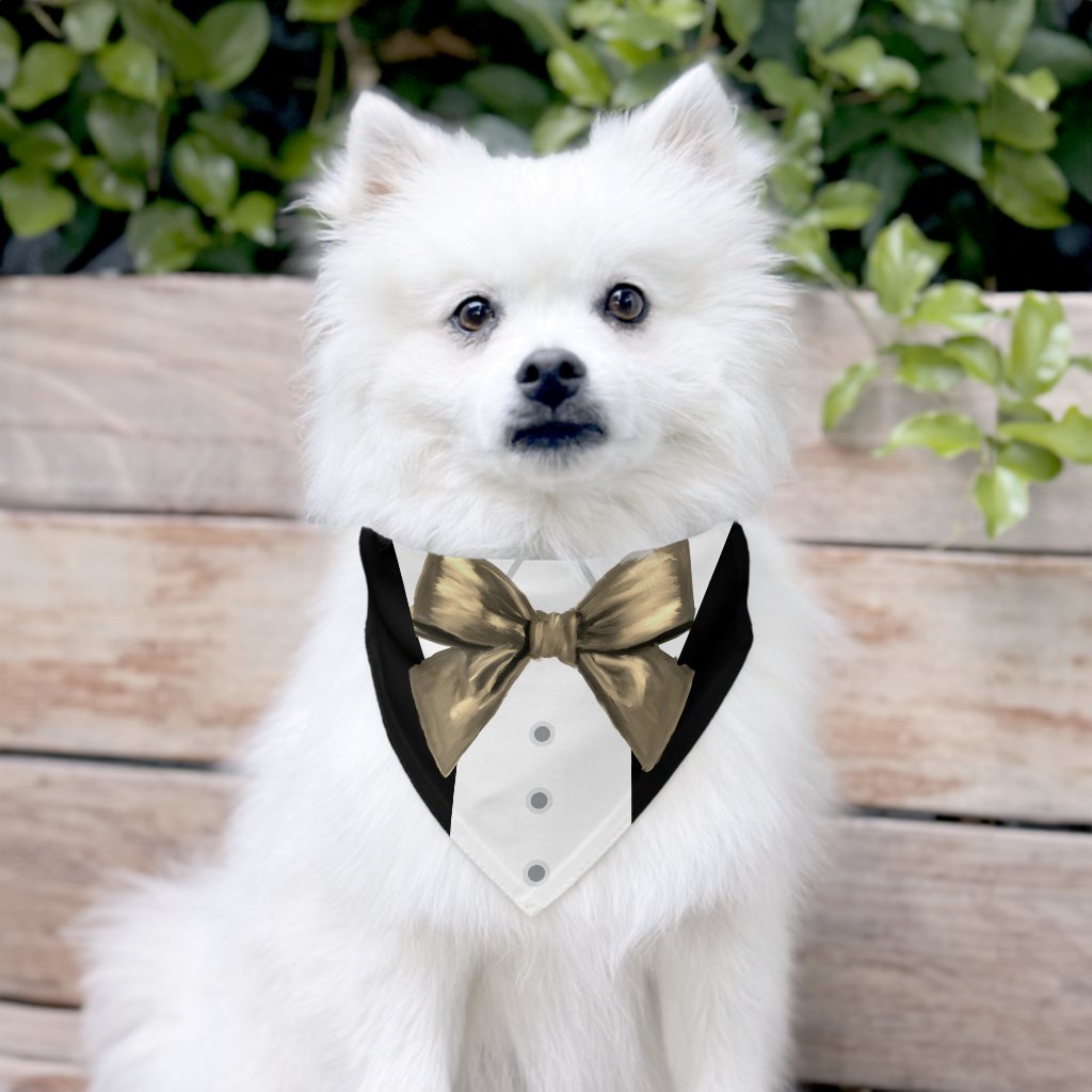 Black Tuxedo Suit Light Gold Bow Tie