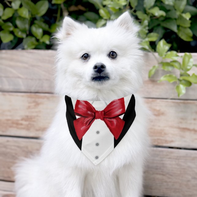 Black Tuxedo Suit Red Bow Tie Pet Bandana Collar (Dog)