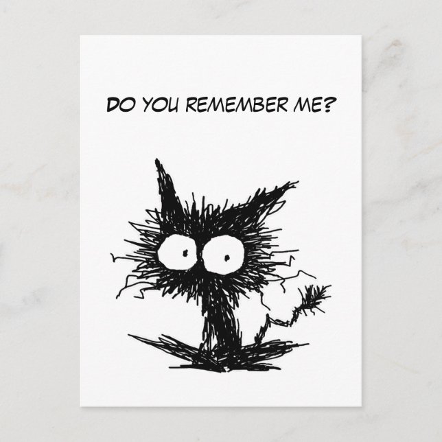 Black Unkempt Kitten GabiGabi Postcard (Front)