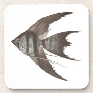 Black Veil Tail Angelfish Set of 6 Coasters
