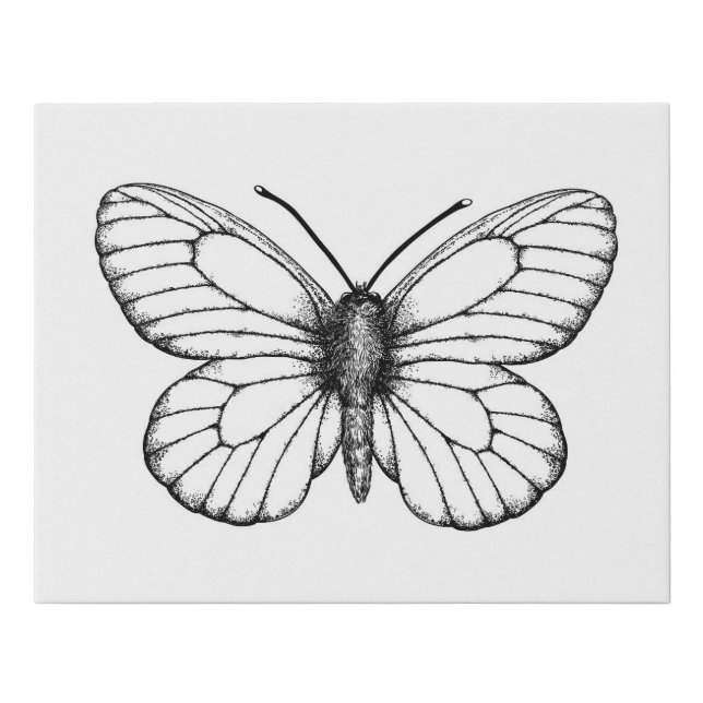 Black-veined white butterfly faux canvas print (Front)