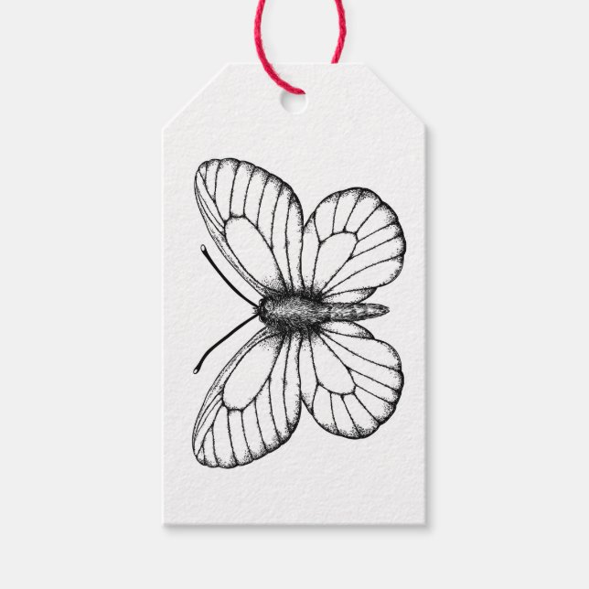 Black-veined white butterfly gift tags (Front)