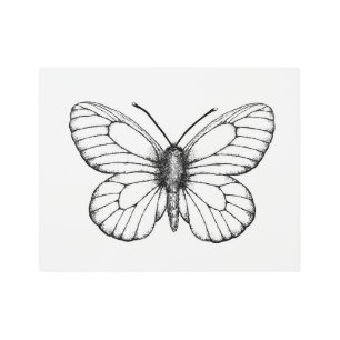 Black-veined white butterfly metal print