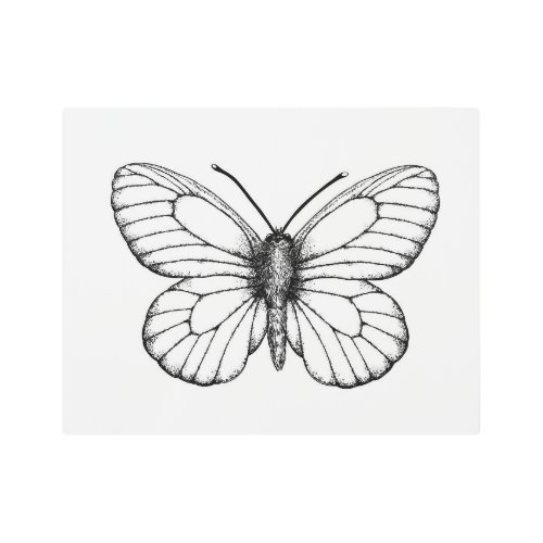 Black_veined white butterfly metal print