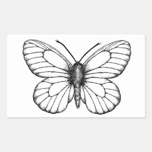 Black and White Butterfly Sticker for Sale by piperbrantley  Black and  white stickers, Black stickers, Butterfly black and white