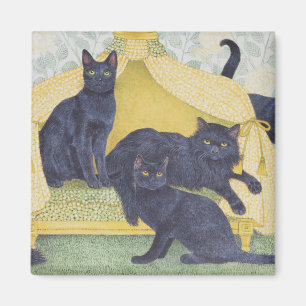 Black velvet magnet