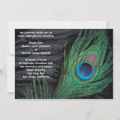 Black Velvet Peacock Wedding Invitation