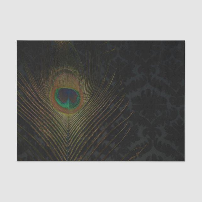 Black Victorian Wallpaper and Peacock Tissue Paper (Front)