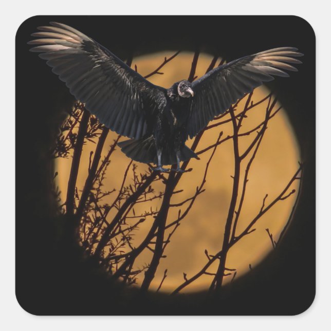 Black Vulture at full Moon Halloween  Square Sticker (Front)