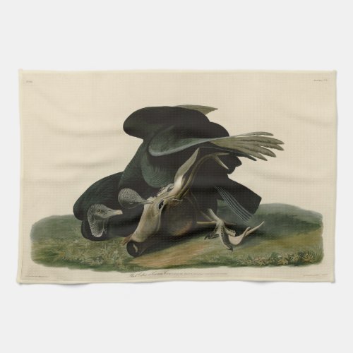 Black Vulture from Audubons Birds of America Kitchen Towel