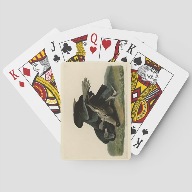 Black Vulture, from Audubon's Birds of America Poker Cards (Back)