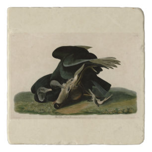 Black Vulture, from Audubon's Birds of America Trivet