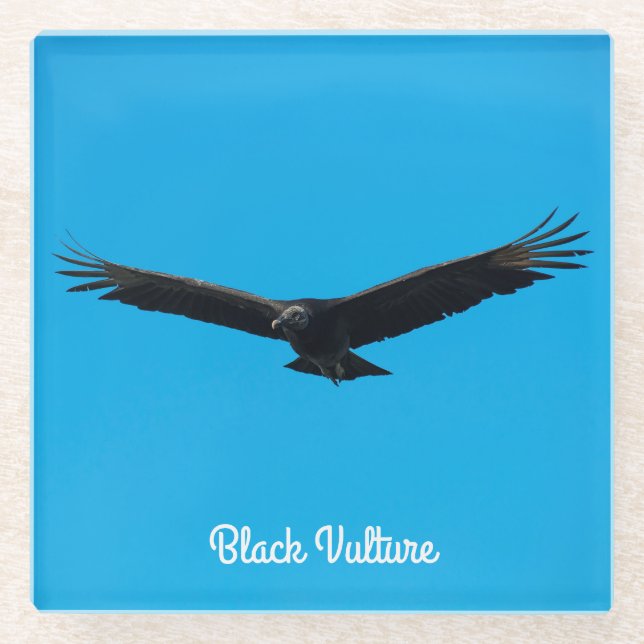 Black Vulture Glass Coaster (Front)