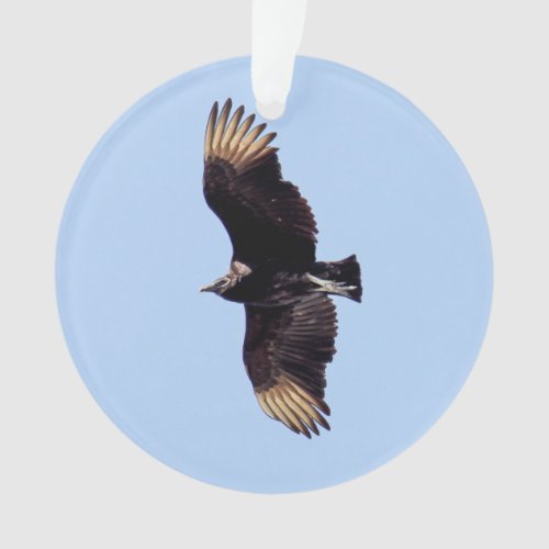 Black Vulture Ornament