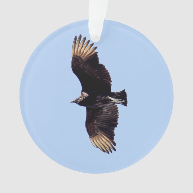 Black Vulture Ornament (Front)