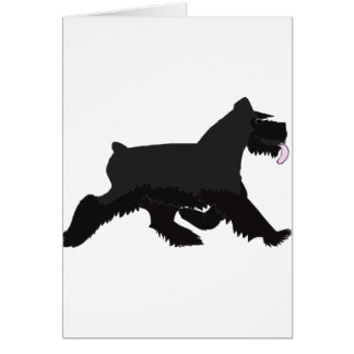 black_walk cards