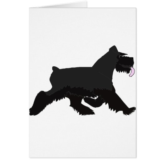 black_walk cards (Front)