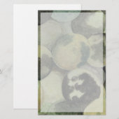 Black Walnuts (Front/Back)