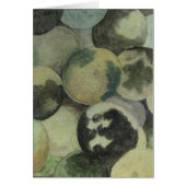 Black Walnuts Card (Front)