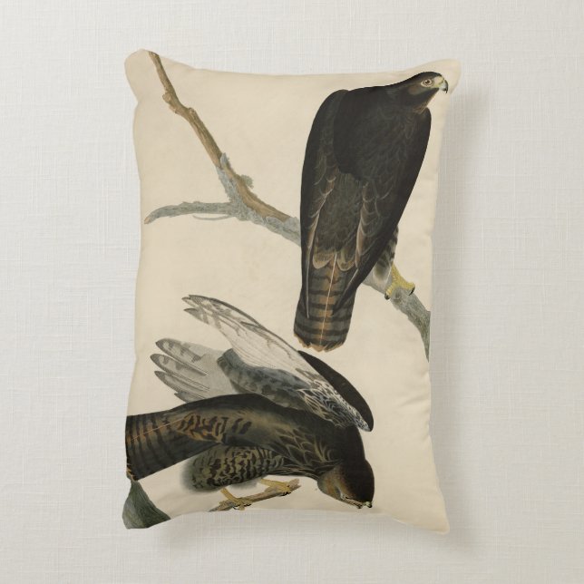 Black Warrior (Red-tailed Hawk) from Audubon Birds Accent Pillow (Back(Vertical))