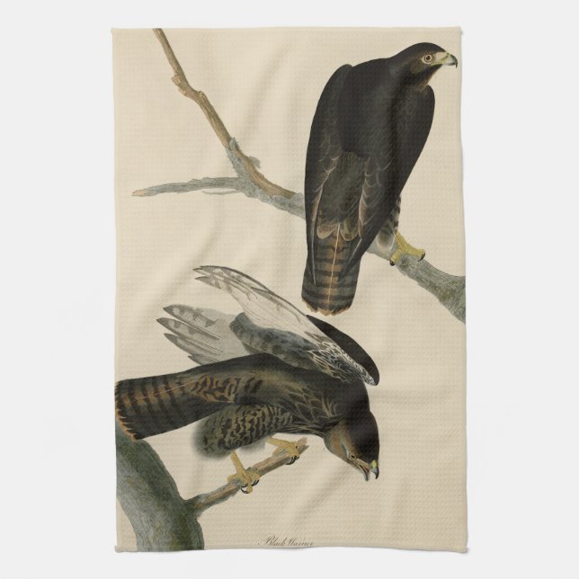 Black Warrior (Red-tailed Hawk) from Audubon Birds Kitchen Towel (Vertical)
