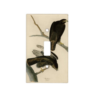 Black Warrior (Red-tailed Hawk) from Audubon Birds Light Switch Cover