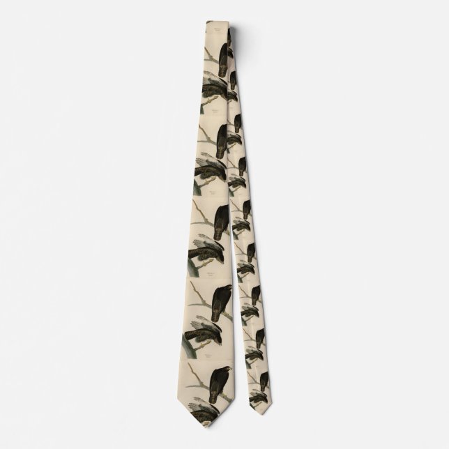 Black Warrior (Red-tailed Hawk) from Audubon Birds Neck Tie (Front)