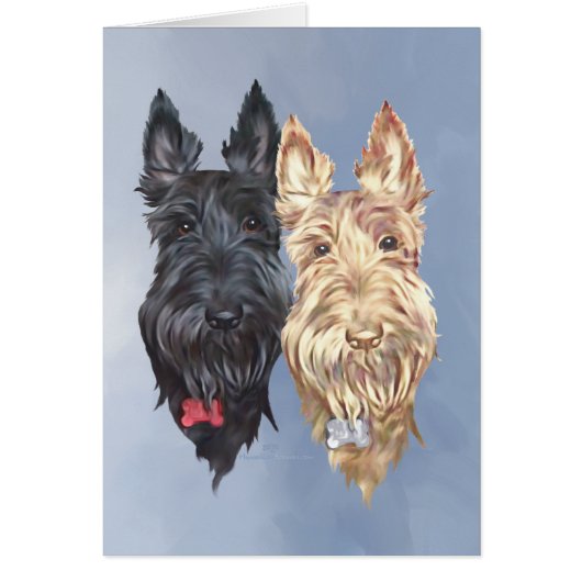 Black & Wheaten Scottish Terriers (Front)