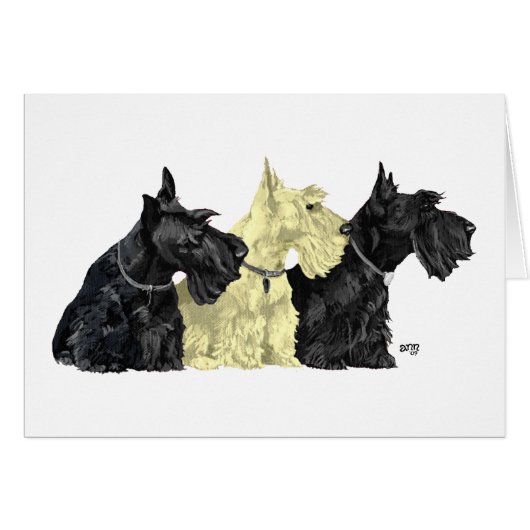 Black & Wheaten Scottish Terriers Cards (Front Horizontal)