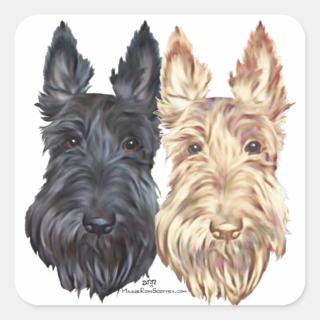 Black & Wheaten Scottish Terriers Square Sticker (Front)