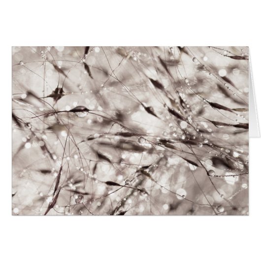 Black White Abstract Wet Grass Dew Texture Nature Cards (Front Horizontal)