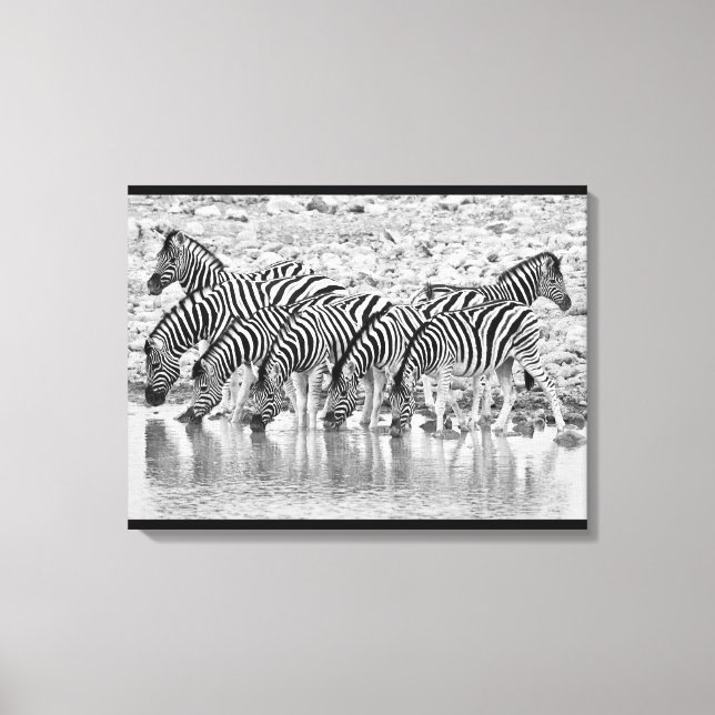 Black White African Zebra Grouping Wrapped Canvas Print (Front)