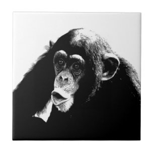 Black & White Amazing Chimpanzee Pop Art Ceramic Tile