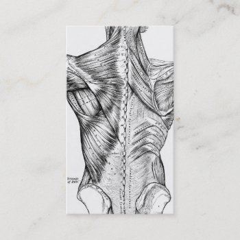 Black & White Anatomy Art Back Muscles Qr Code V2 Business Card by vintage_anatomy at Zazzle