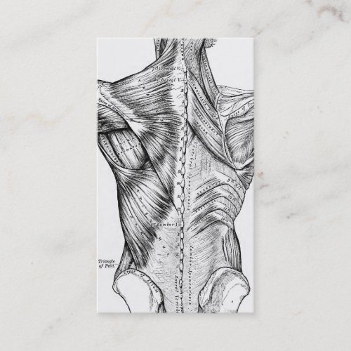 Black  White Anatomy Art Back Muscles QR Code V2 Business Card