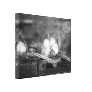 8 x 10 Canvas Print - Photography - The BEarth Institute