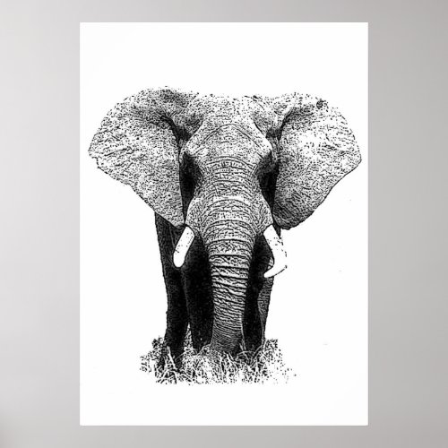Black  White Asian Elephant Pop Art Poster