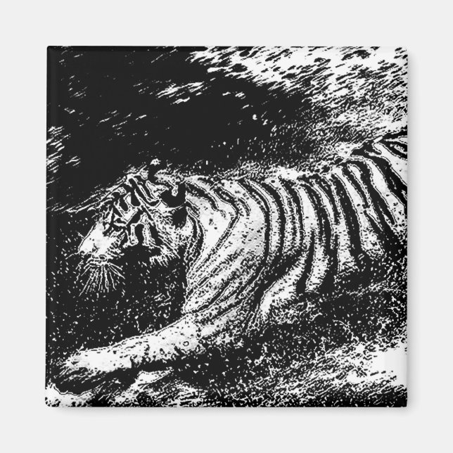Black & White Attacking Tiger Magnet (Front)
