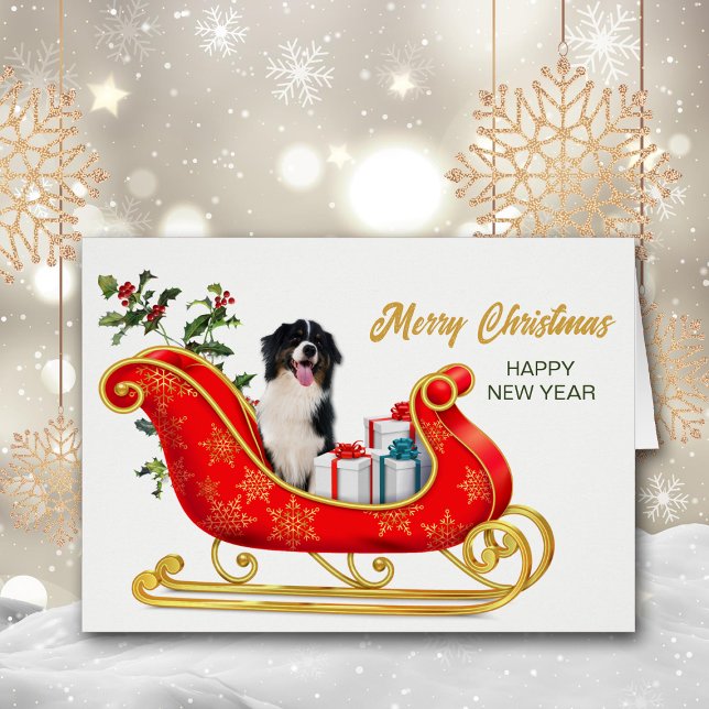 Black White Australian Shepherd Christmas Sleigh Cards (Creator Uploaded)