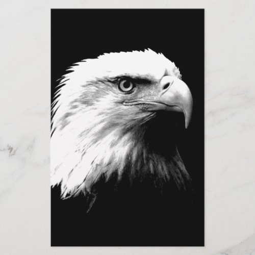 Black  White Bald Eagle