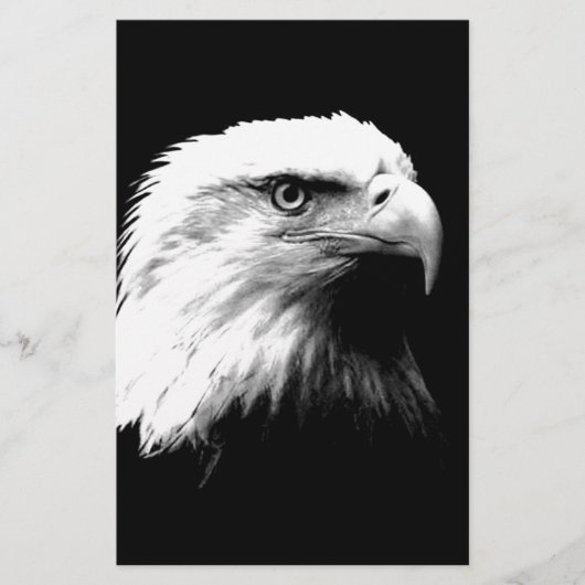 Black & White Bald Eagle (Front)