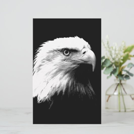 Black & White Bald Eagle (Standing Front)