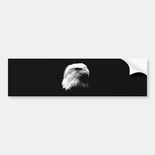 Black  White Bald Eagle Bumper Sticker