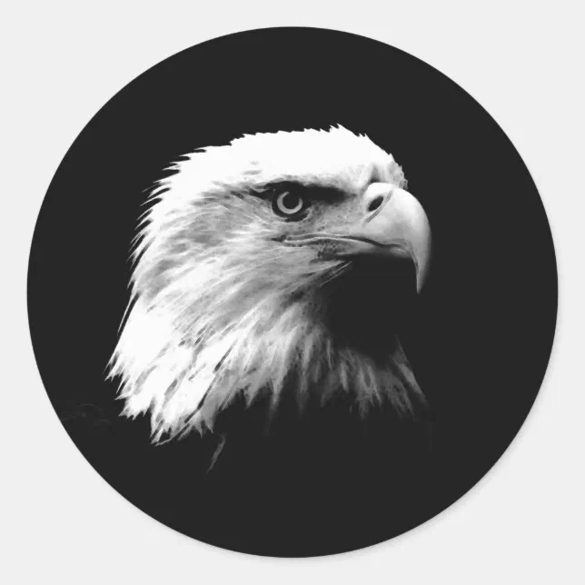 Black & White Bald Eagle Classic Round Sticker | Zazzle
