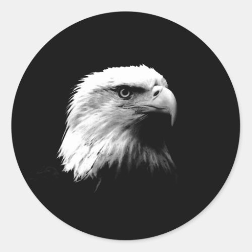 Black  White Bald Eagle Classic Round Sticker