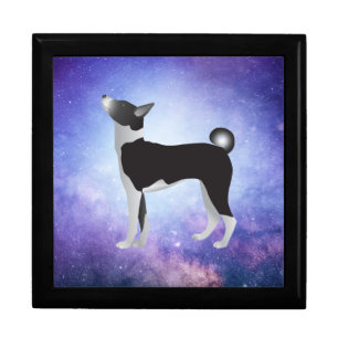 Black & White Basenji Dog & Blue Universe Gift Box