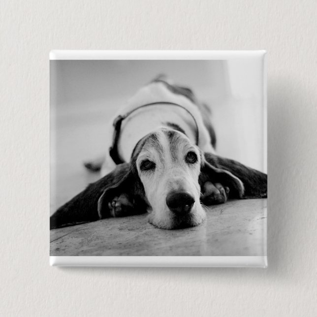 Black & White Basset Hound Button (Front)