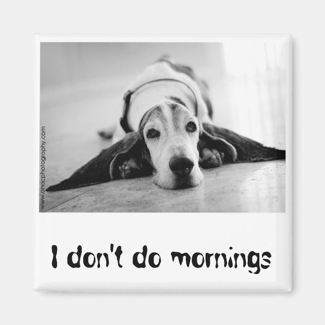 Black & White Basset Hound Magnet (Front)