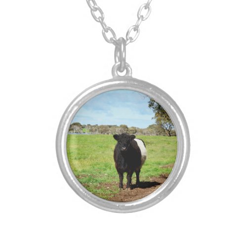 Black White Belted Galloway Cow Silver Plated Necklace